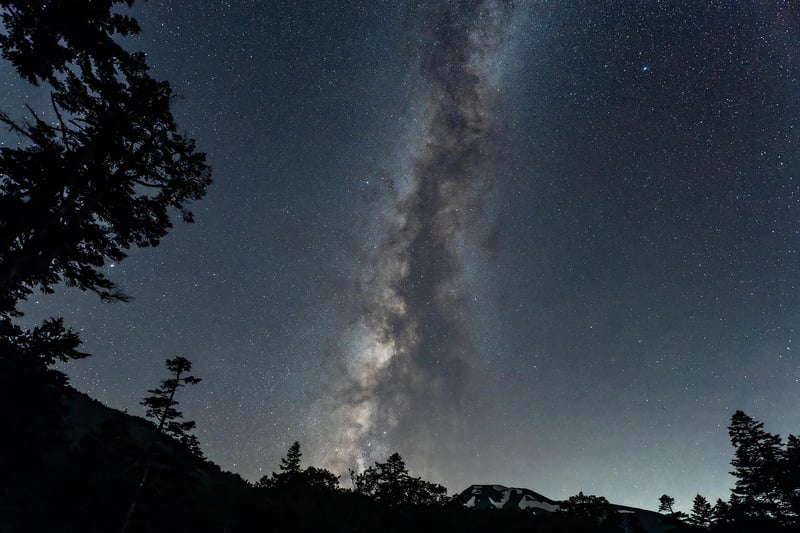 Cosmic Bedding